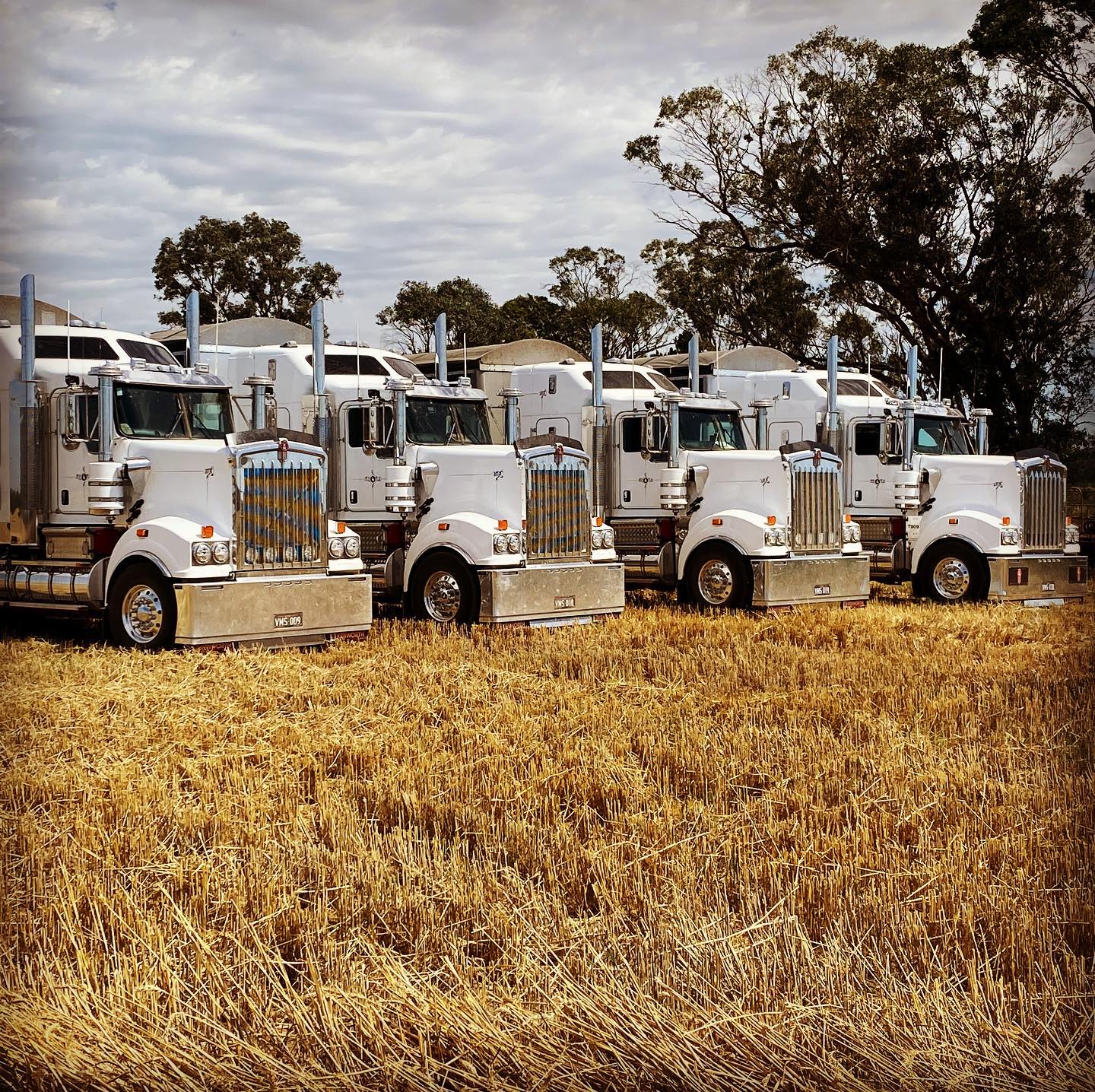 Truck Fleet